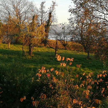 Haus Meersburg Garten Экстерьер фото