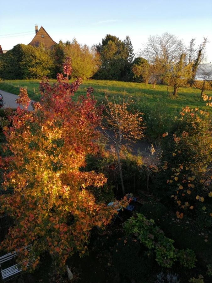 Haus Meersburg Garten Экстерьер фото