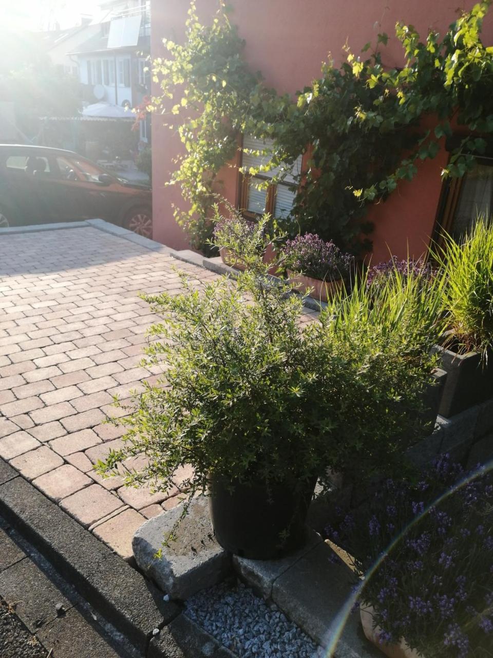 Haus Meersburg Garten Экстерьер фото