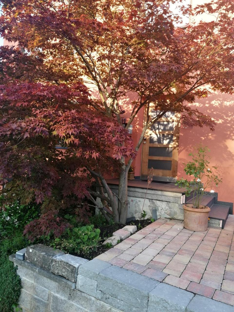 Haus Meersburg Garten Экстерьер фото