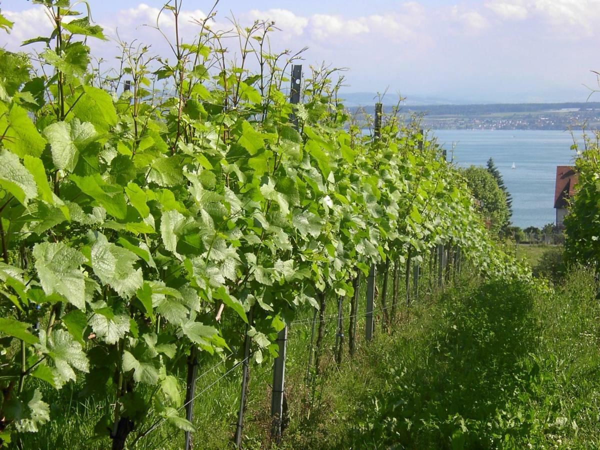 Haus Meersburg Garten Экстерьер фото