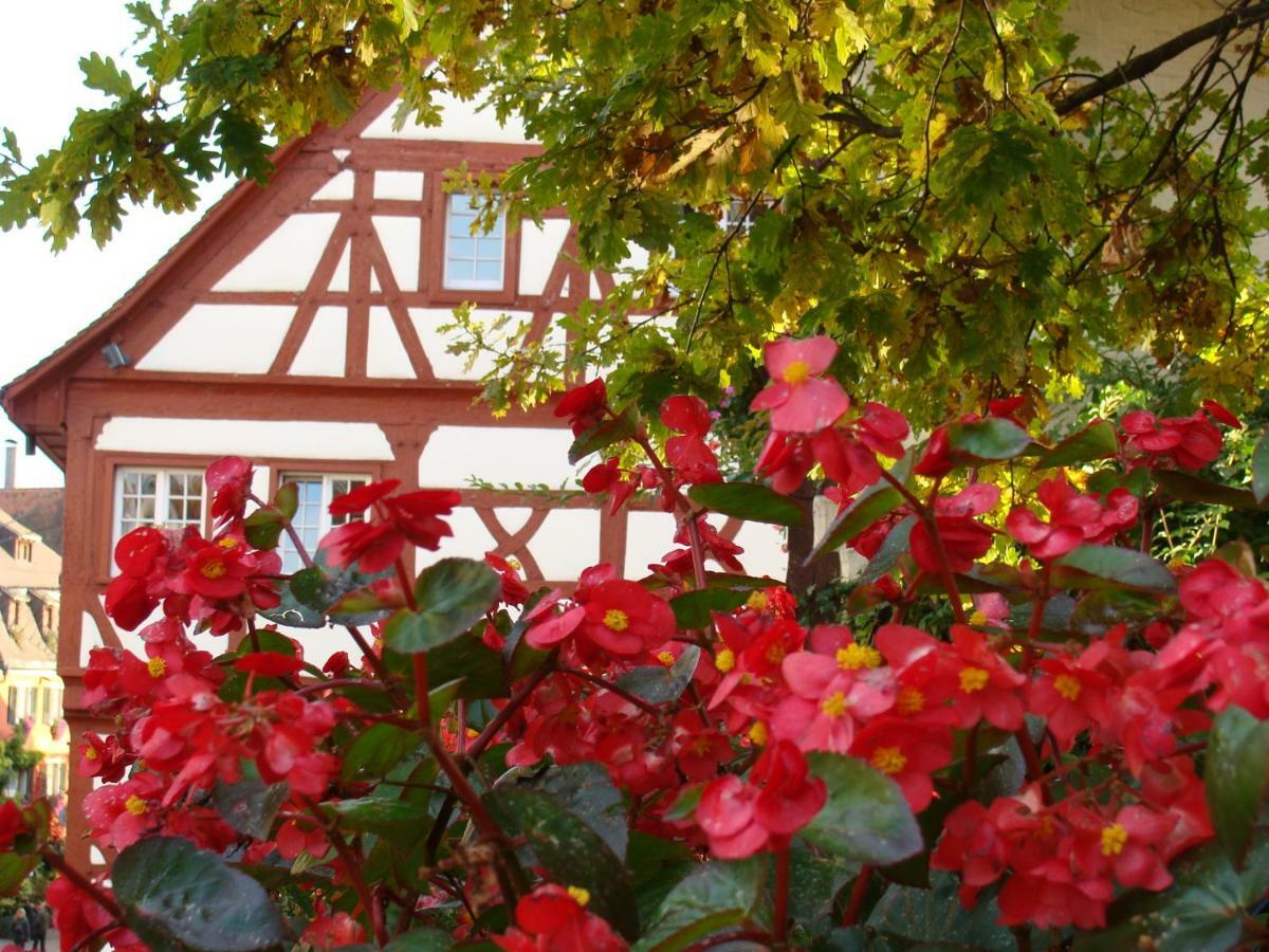 Haus Meersburg Garten Экстерьер фото